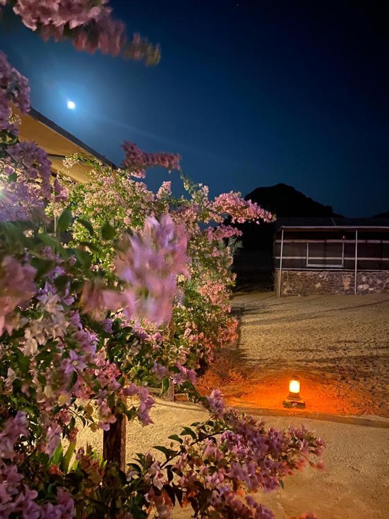 瓦迪拉姆 Moon Night Camp酒店 外观 照片