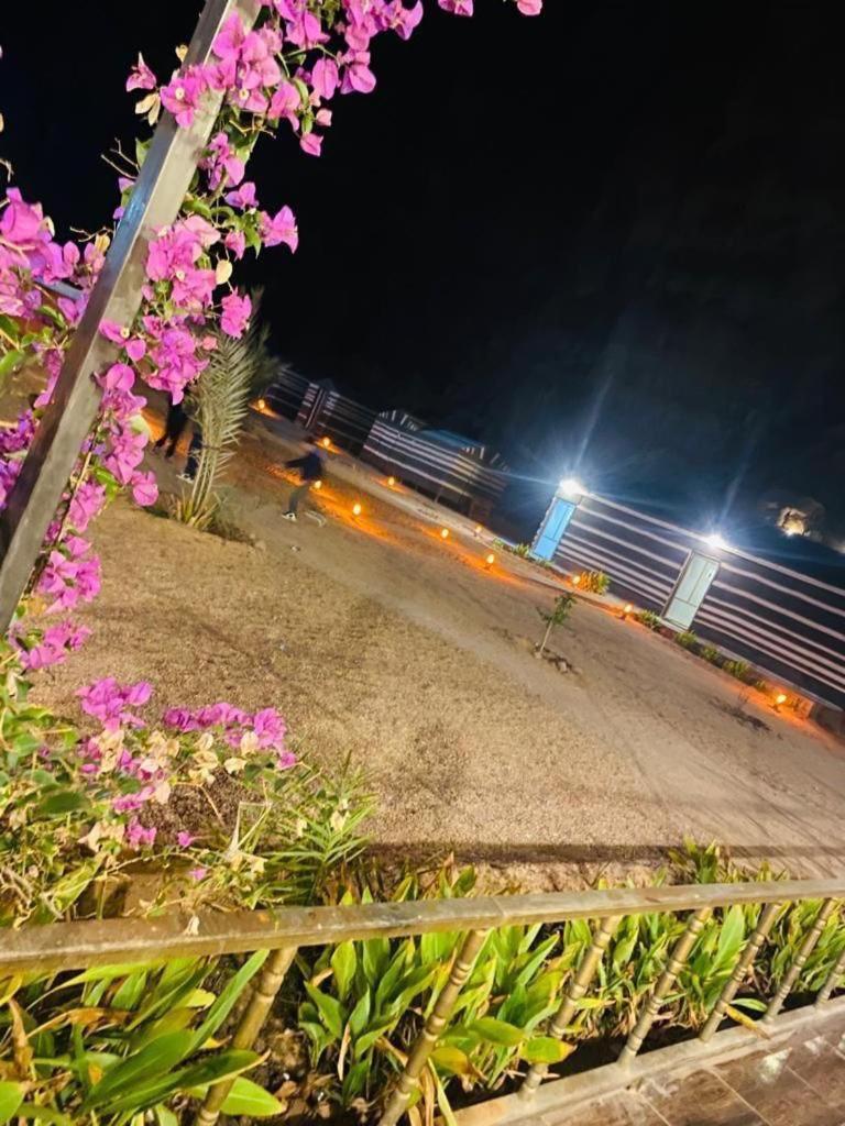 瓦迪拉姆 Moon Night Camp酒店 外观 照片